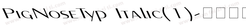 PigNoseTyp Italic(1)字体转换